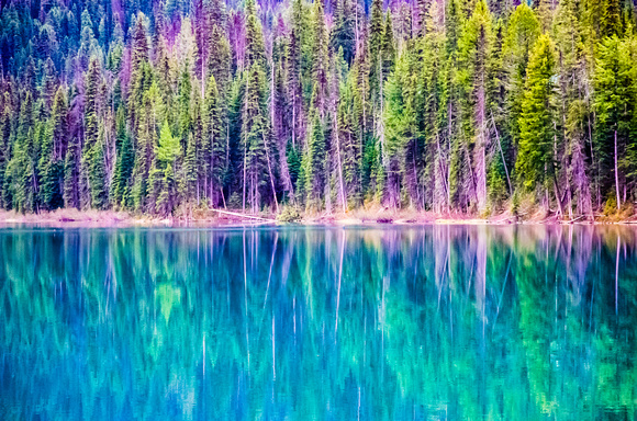 Reflected in Emerald