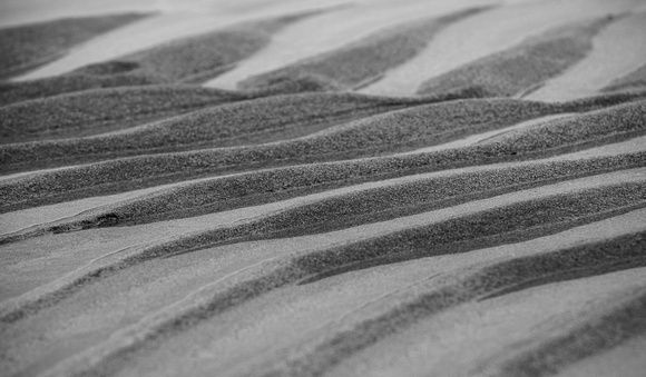 Sand ripples 1